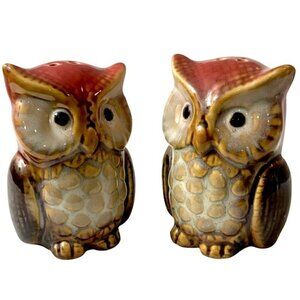 Owl Salt and Pepper Shakers Hand Painted Ceramic Rustic Farmhouse Decorative Set